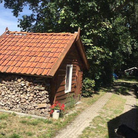 Landelijk Gelegen Huisje Op Erf Veeningen Exterior foto